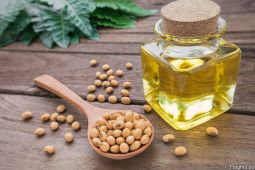 Продам жмых соевый и масло соевое