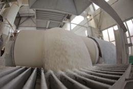 Not Sweet, or Why is the Price of Sugar Rising?