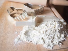 Ukrainian flour producers are interested in the African market