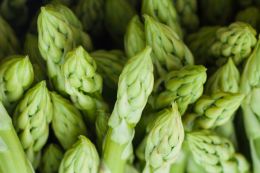 Scientists have created a job to collect asparagus