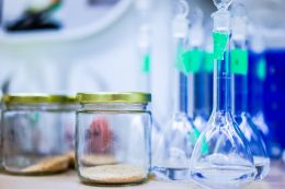 How to save on fertilizers and plant protection products - advice from the Institute of Plant Health announced