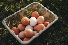 Danube farmer donated organic eggs for rations