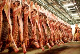 KSG Agro continues to ship products