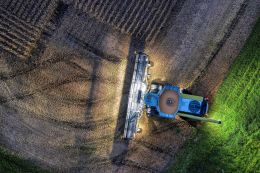 Farmers of Family Dairy Farms ask for help to sow