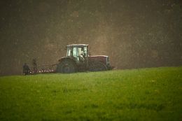 Українські аграрії зміцнюють продовольчу безпеку країни