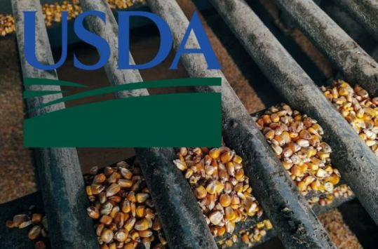 Качині історії: USDA і втрачені акри