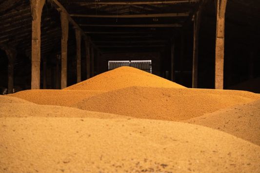 How HarvEast is building a sales strategy after the forward crisis