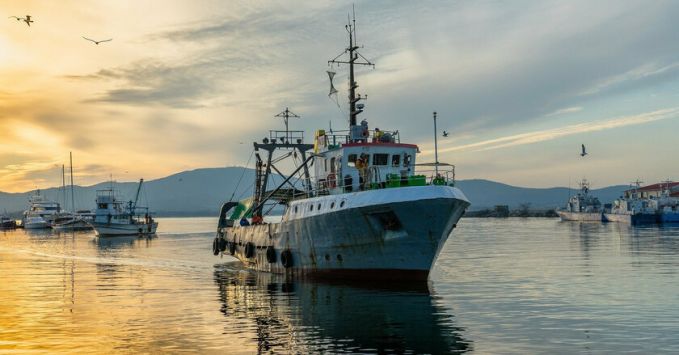 Україна збільшила вилов риби в морях в 1,5 раза