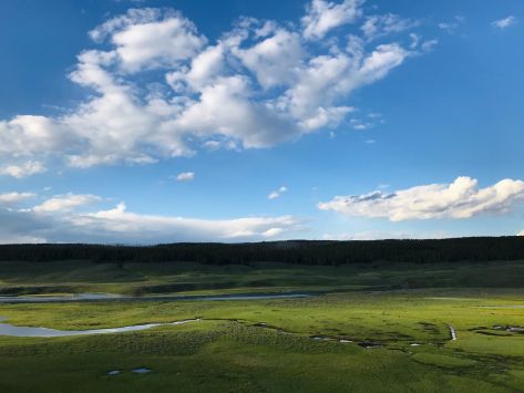The Verkhovna Rada supported the bill on land reclamation