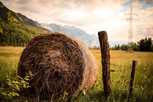 A farmer from the Luhansk region has built a successful business in the production of biofuel from straw