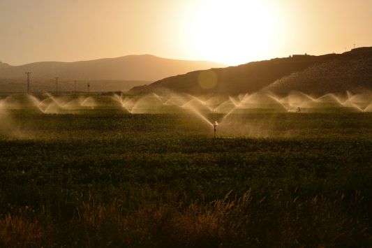 Крупнейший производитель оросительного оборудования планирует открыть производство в Украине