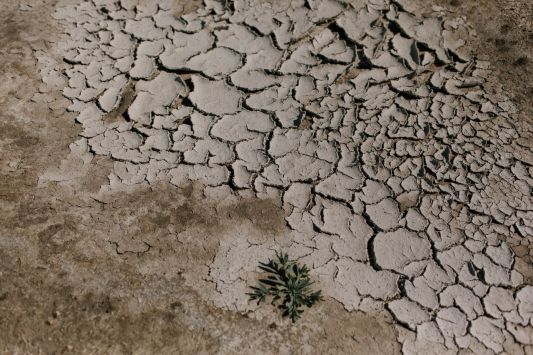Періодичність та інтенсивність посух в Україні збільшуватиметься