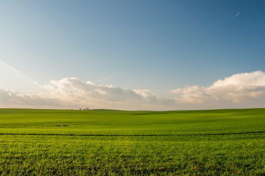 State Property Fund will change the algorithm for assessing the value of land