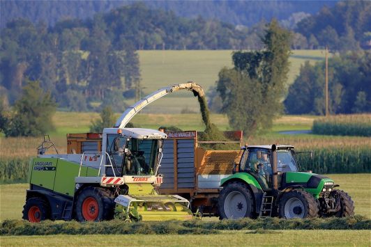 2021 рік став рекордним для аграріїв Миколаївщини
