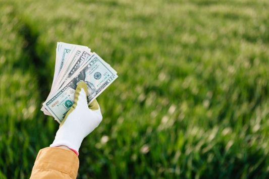 Агровиробників запрошують обговорити впровадження 0% ПДВ