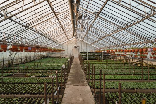 In Ukraine, massively stop the work of the greenhouse