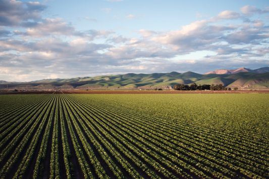 Ministry of Agriculture on preparations for sowing: the most critical shortage of fuel for agricultural machinery