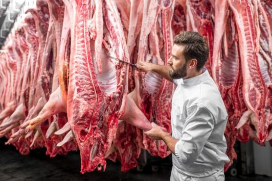 "Niva Pereyaslavshchina" will sell half carcasses of pigs at the lowest prices